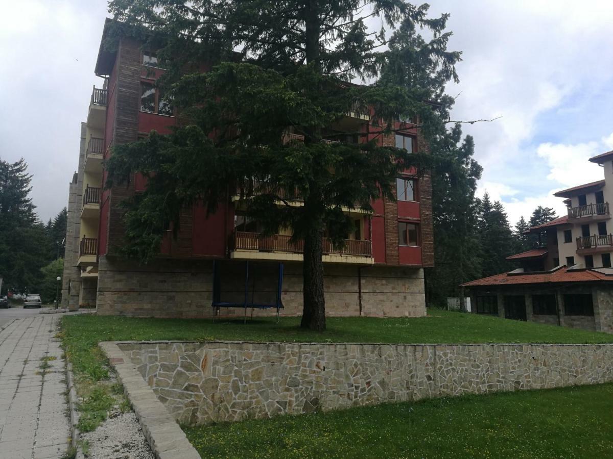 Luxury Apartament In "Sequoia" 2 Boroveț Exterior foto