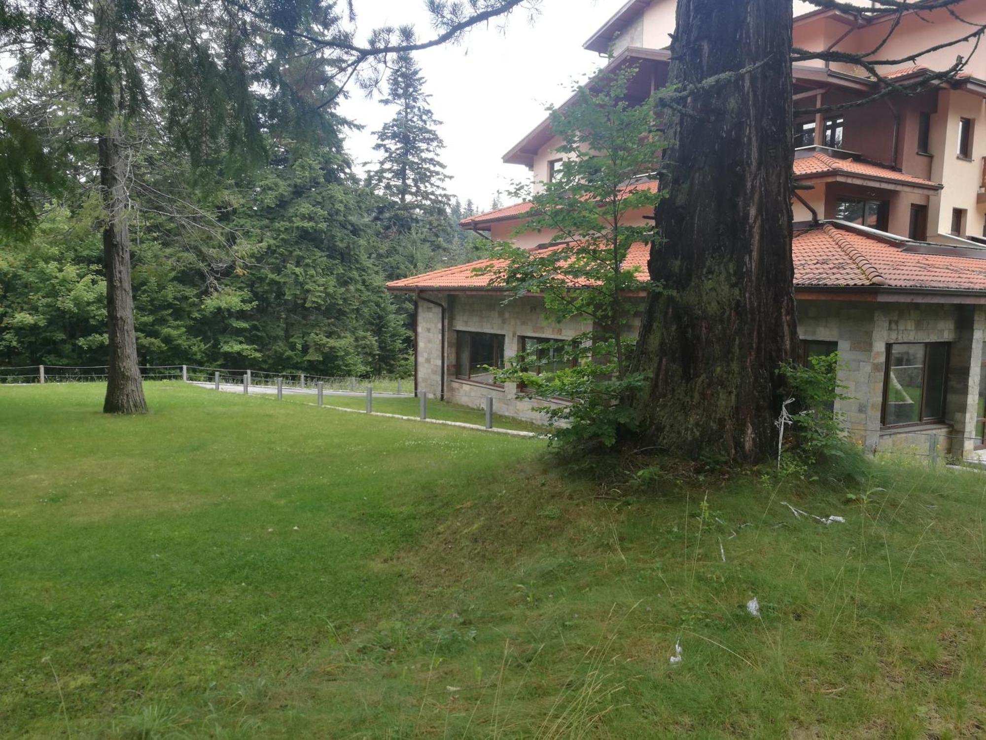 Luxury Apartament In "Sequoia" 2 Boroveț Exterior foto